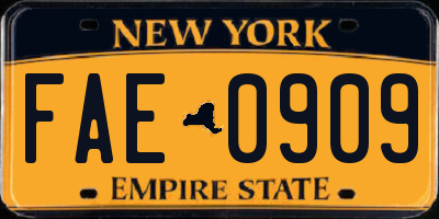 NY license plate FAE0909