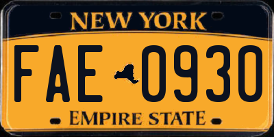 NY license plate FAE0930