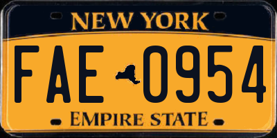 NY license plate FAE0954