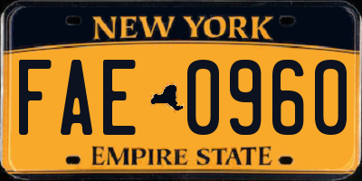 NY license plate FAE0960