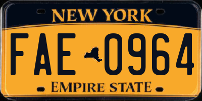 NY license plate FAE0964