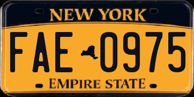 NY license plate FAE0975