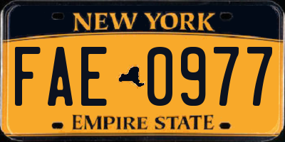 NY license plate FAE0977