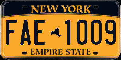 NY license plate FAE1009