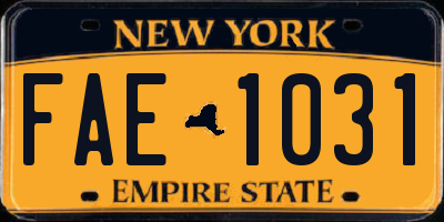 NY license plate FAE1031