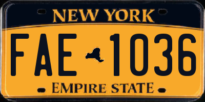 NY license plate FAE1036