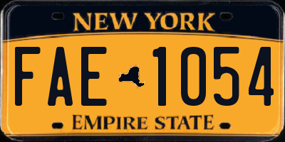 NY license plate FAE1054