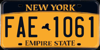 NY license plate FAE1061