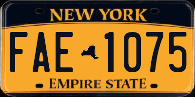 NY license plate FAE1075