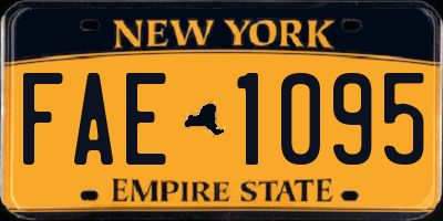 NY license plate FAE1095