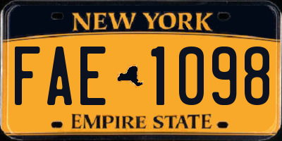 NY license plate FAE1098