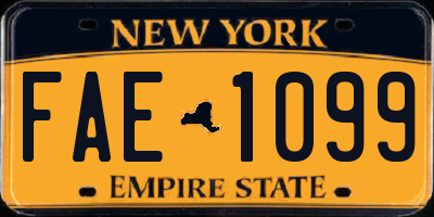 NY license plate FAE1099