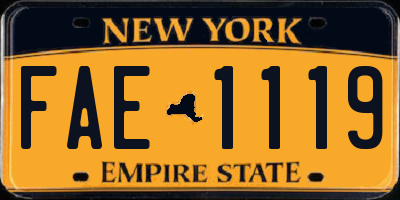 NY license plate FAE1119