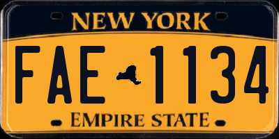 NY license plate FAE1134