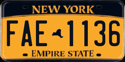 NY license plate FAE1136