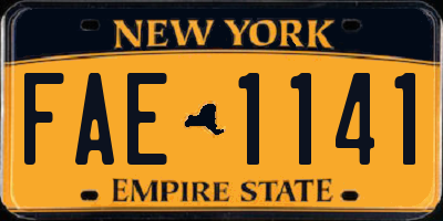 NY license plate FAE1141