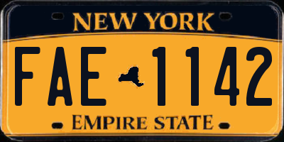 NY license plate FAE1142
