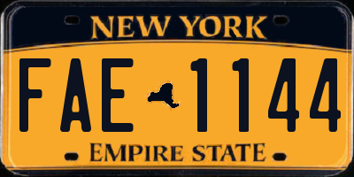 NY license plate FAE1144