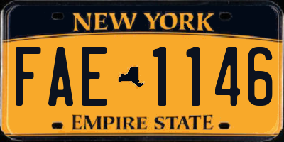 NY license plate FAE1146