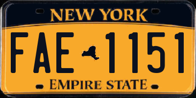 NY license plate FAE1151