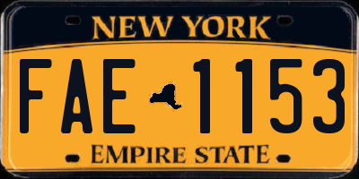 NY license plate FAE1153