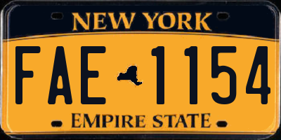 NY license plate FAE1154