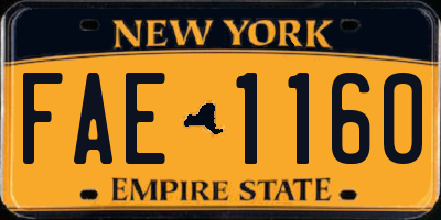 NY license plate FAE1160