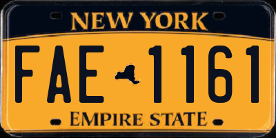 NY license plate FAE1161