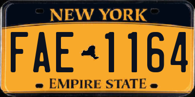 NY license plate FAE1164