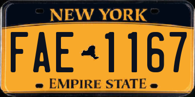 NY license plate FAE1167