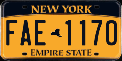 NY license plate FAE1170