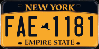 NY license plate FAE1181