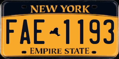 NY license plate FAE1193