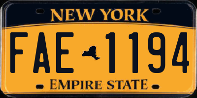 NY license plate FAE1194