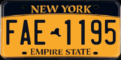 NY license plate FAE1195