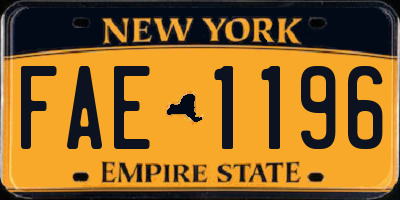 NY license plate FAE1196