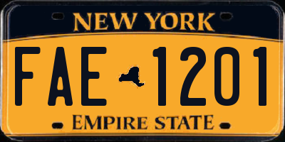 NY license plate FAE1201
