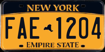NY license plate FAE1204