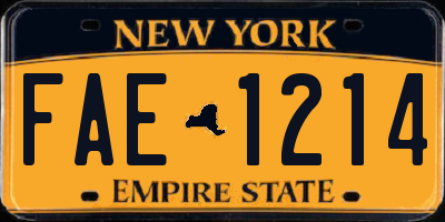 NY license plate FAE1214