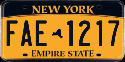 NY license plate FAE1217