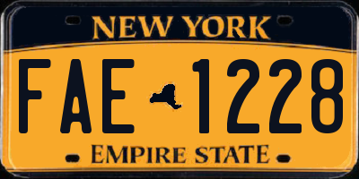 NY license plate FAE1228