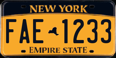 NY license plate FAE1233
