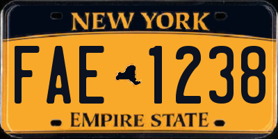 NY license plate FAE1238