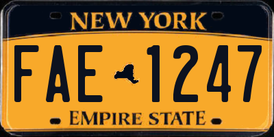 NY license plate FAE1247