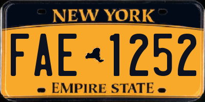 NY license plate FAE1252