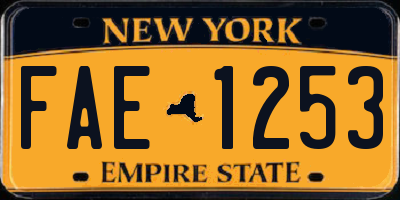 NY license plate FAE1253