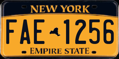 NY license plate FAE1256