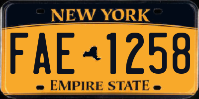 NY license plate FAE1258