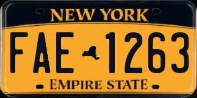 NY license plate FAE1263
