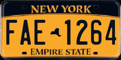 NY license plate FAE1264
